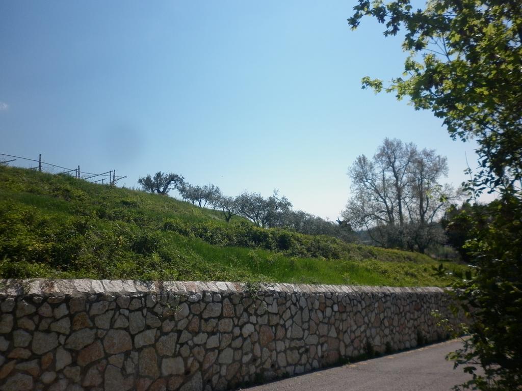 La Piccola Mimosa SantʼAmbrogio di Valpolicella Exterior foto